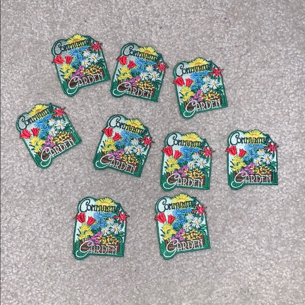 9 Girl Scout badges
